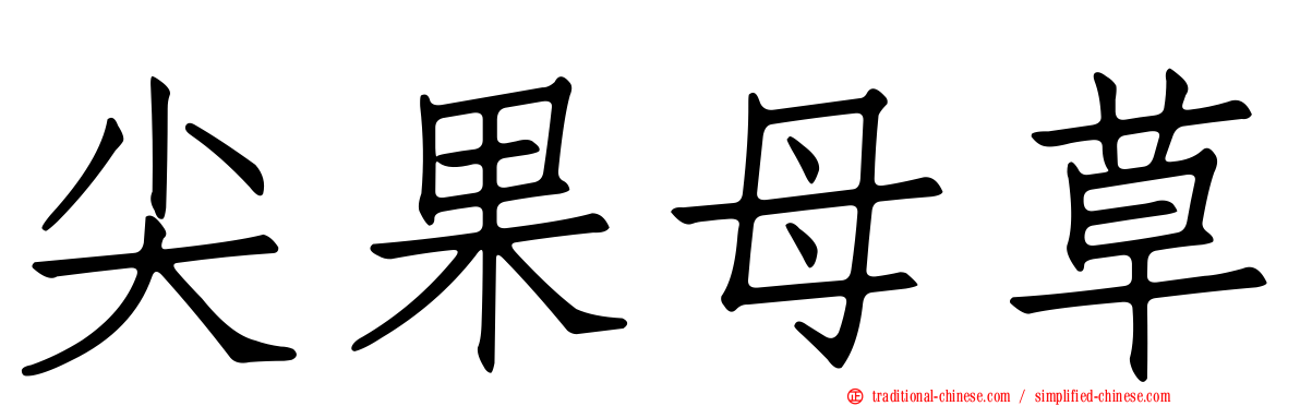 尖果母草