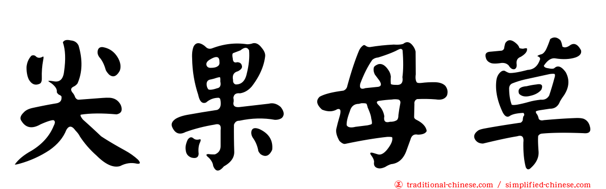 尖果母草