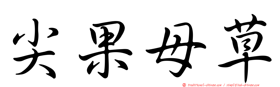 尖果母草
