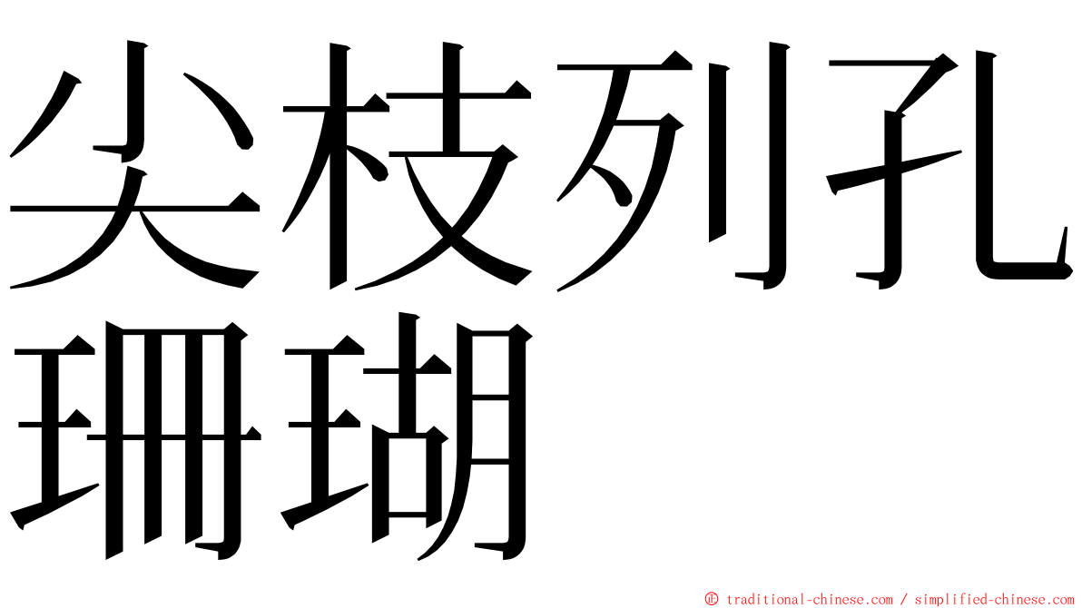 尖枝列孔珊瑚 ming font