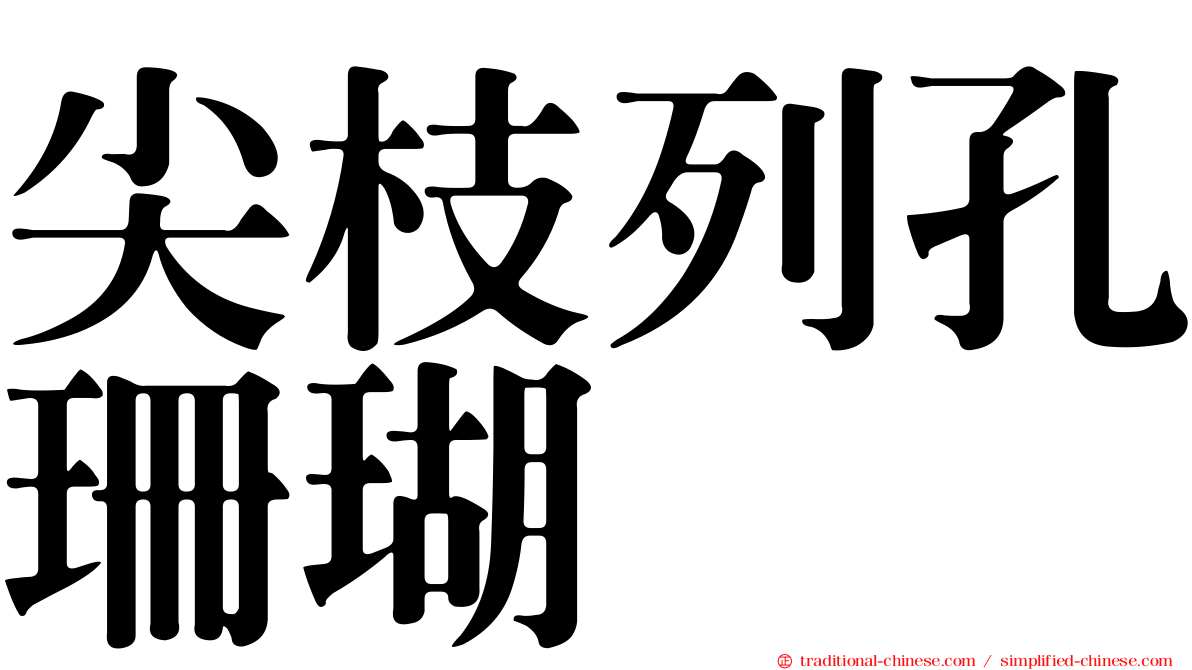 尖枝列孔珊瑚