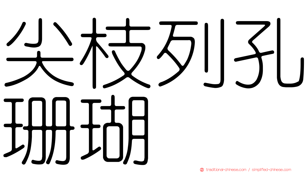 尖枝列孔珊瑚