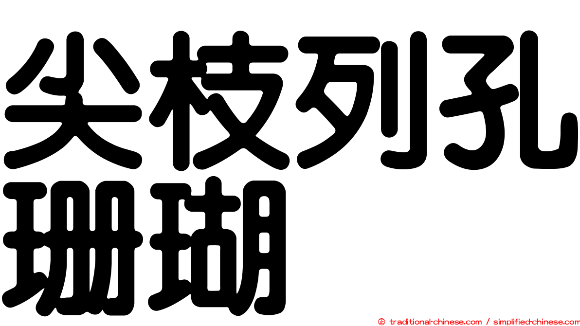 尖枝列孔珊瑚