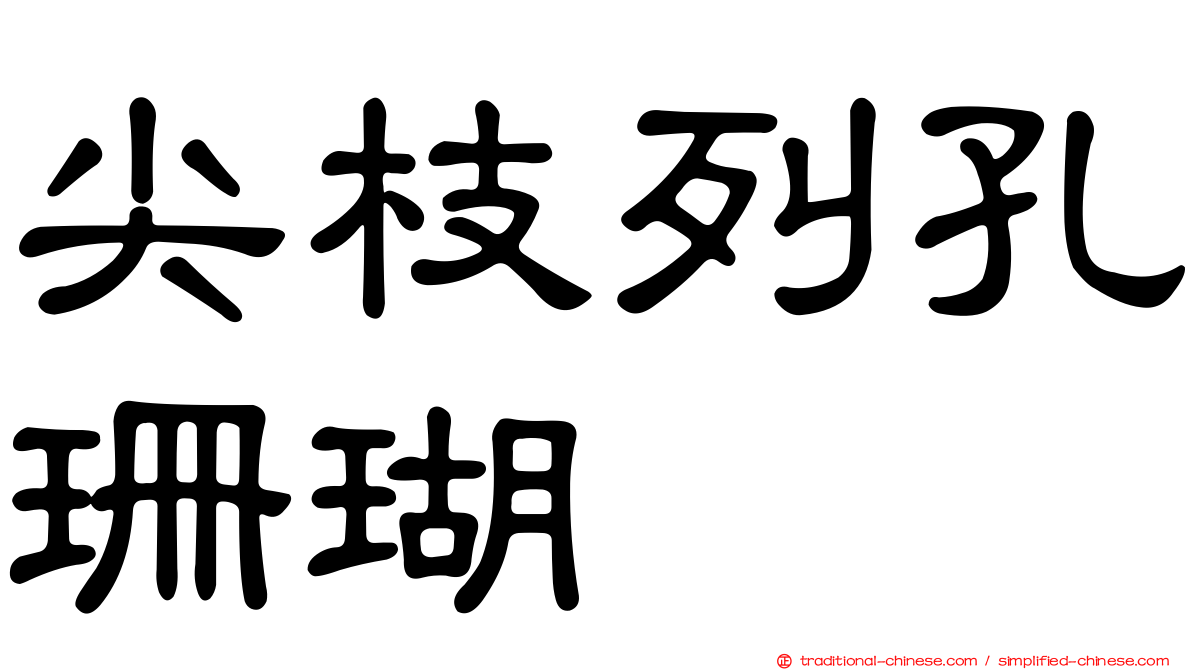 尖枝列孔珊瑚