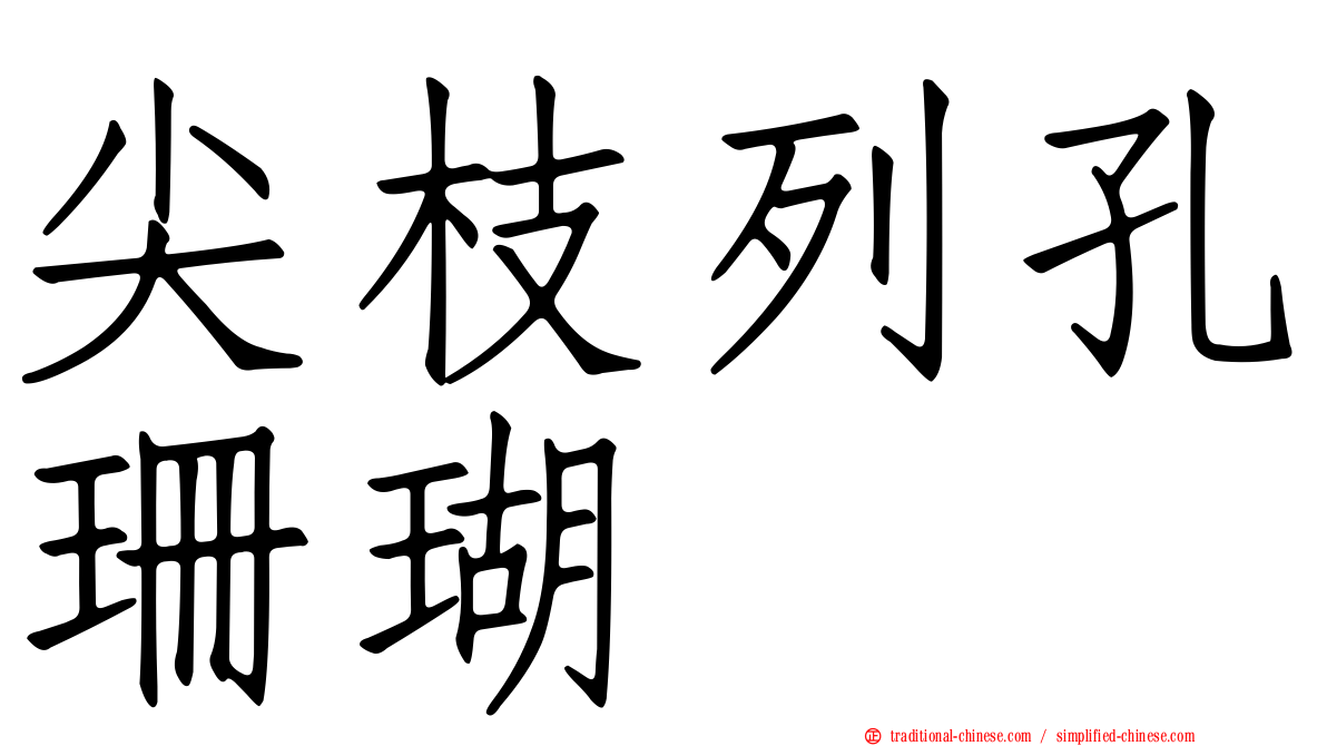 尖枝列孔珊瑚