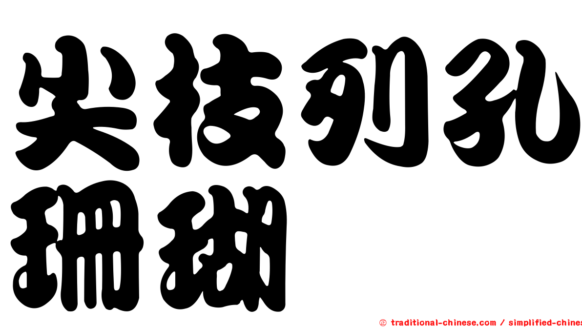 尖枝列孔珊瑚