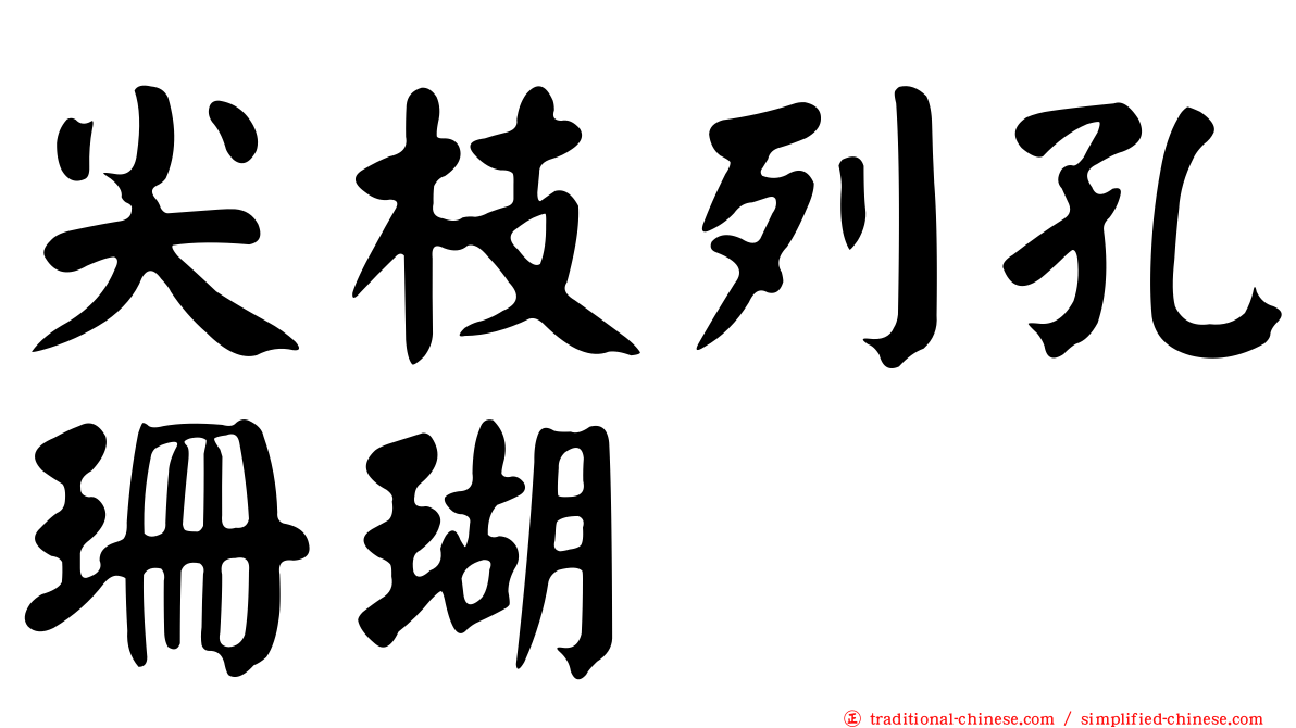 尖枝列孔珊瑚