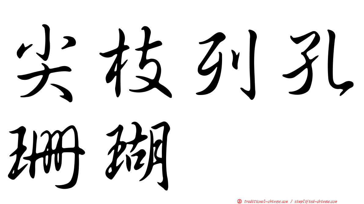 尖枝列孔珊瑚