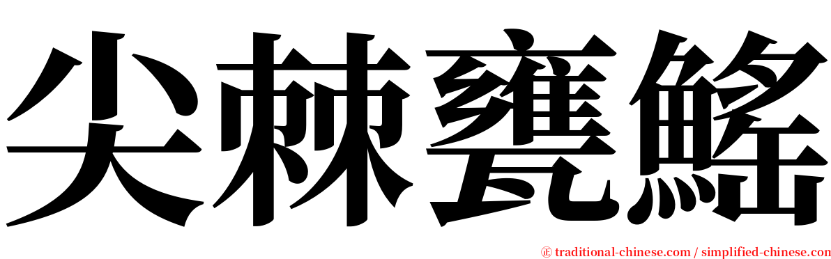 尖棘甕鰩 serif font