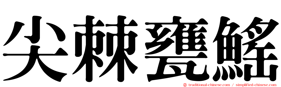 尖棘甕鰩