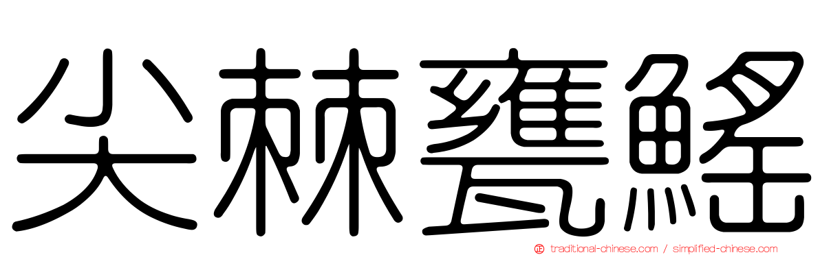 尖棘甕鰩