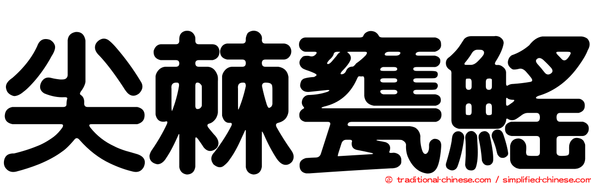 尖棘甕鰩