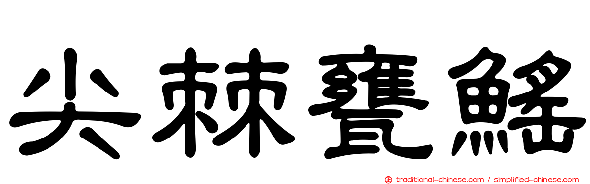尖棘甕鰩