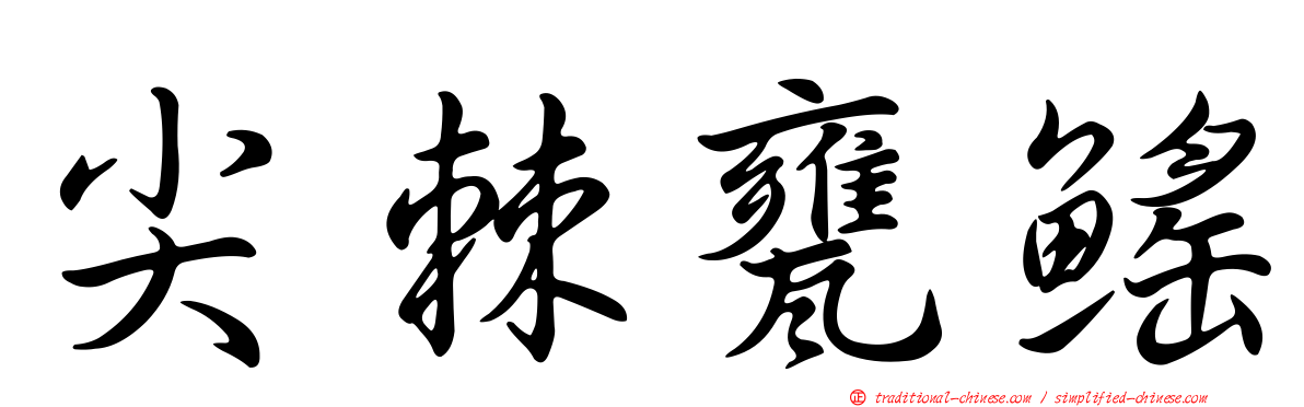 尖棘甕鰩
