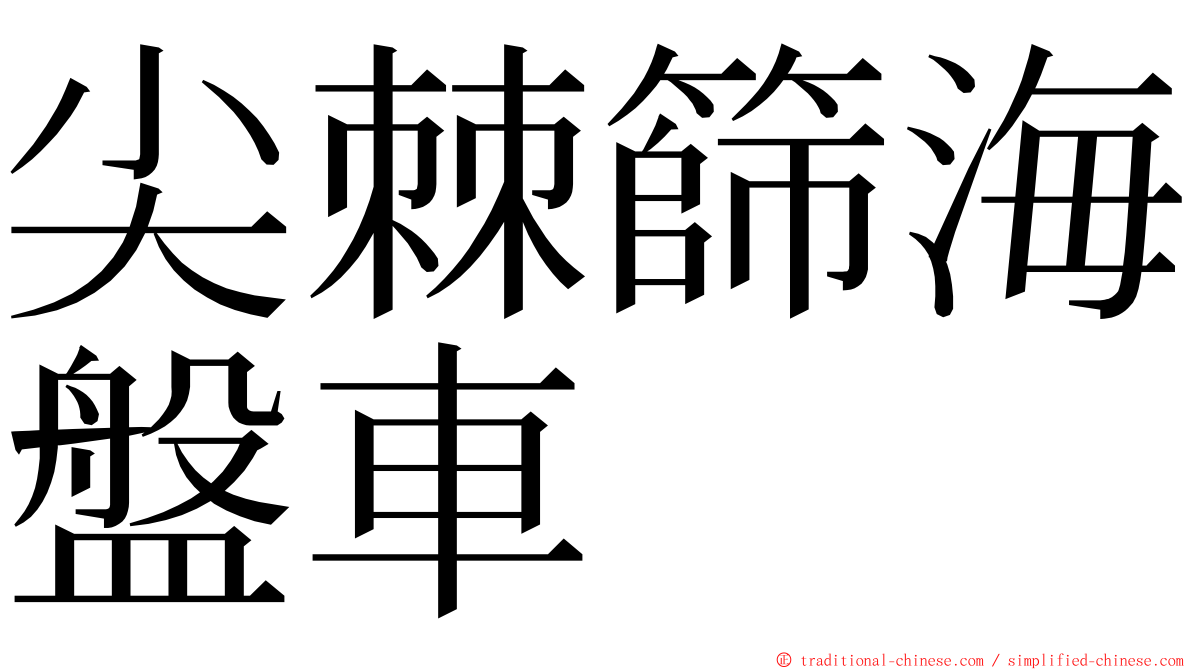 尖棘篩海盤車 ming font
