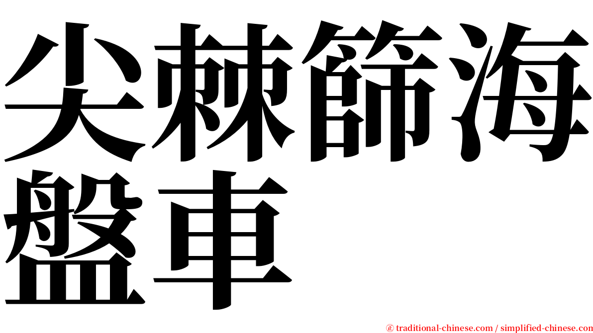 尖棘篩海盤車 serif font