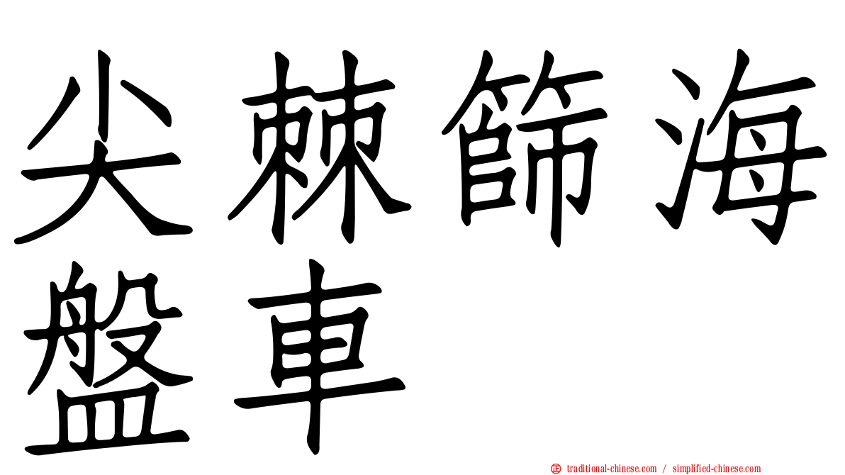 尖棘篩海盤車