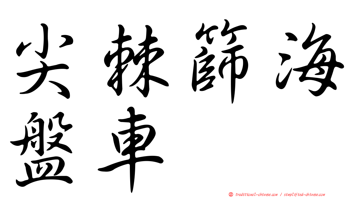 尖棘篩海盤車