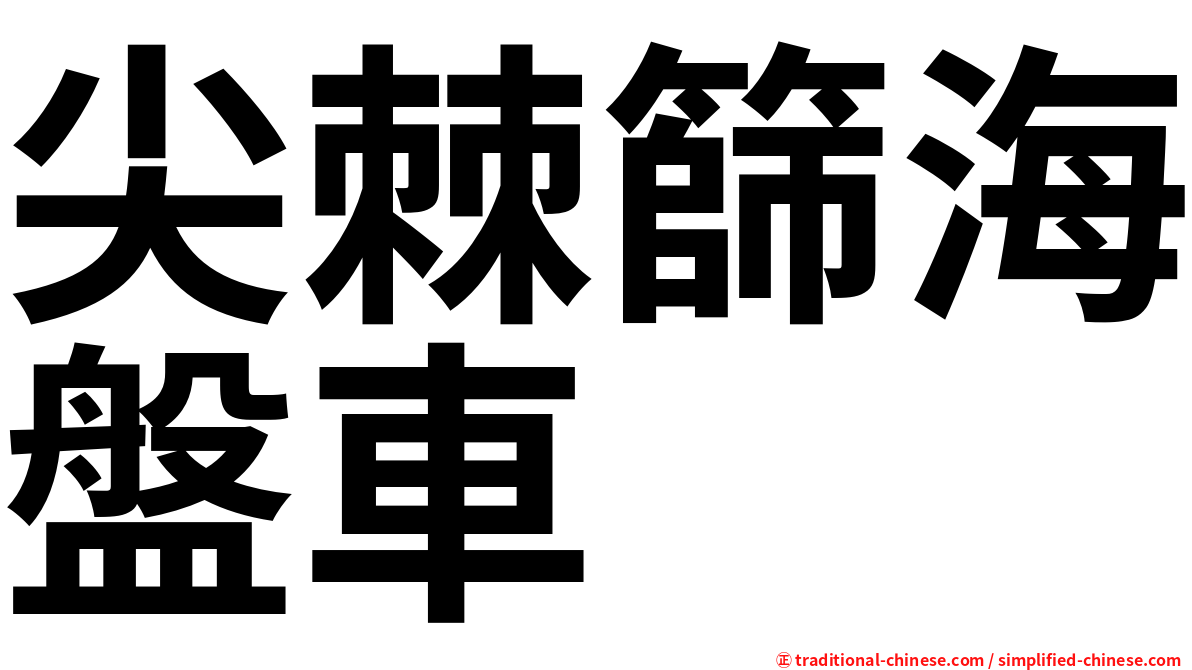 尖棘篩海盤車