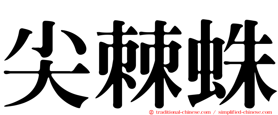 尖棘蛛