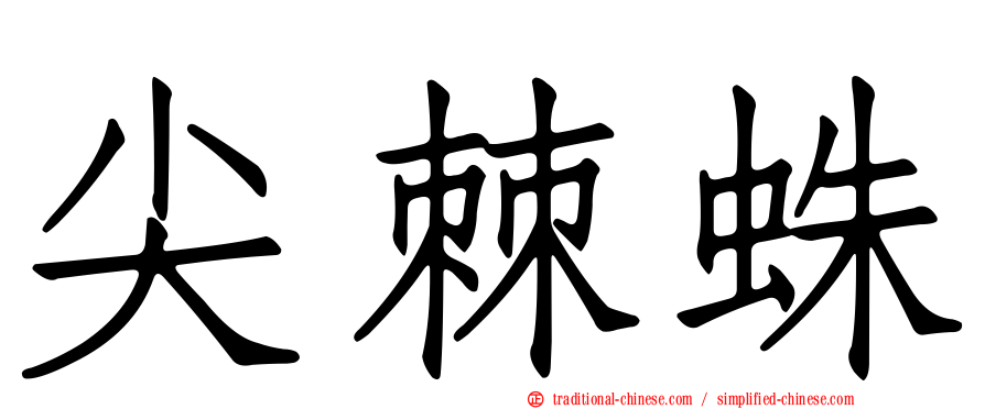 尖棘蛛