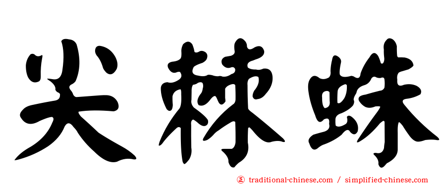 尖棘蛛