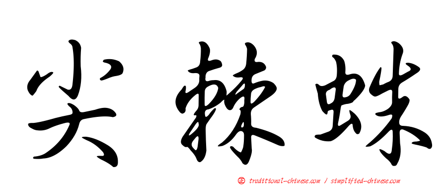 尖棘蛛