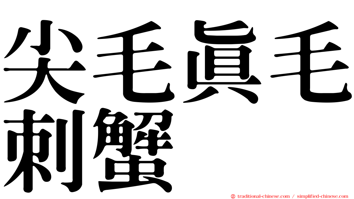 尖毛真毛刺蟹
