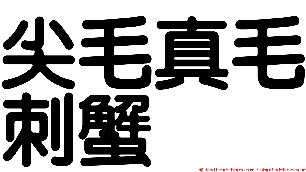 尖毛真毛刺蟹
