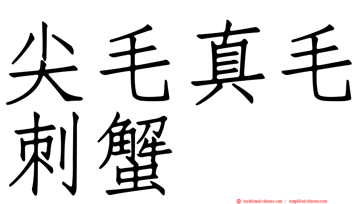 尖毛真毛刺蟹