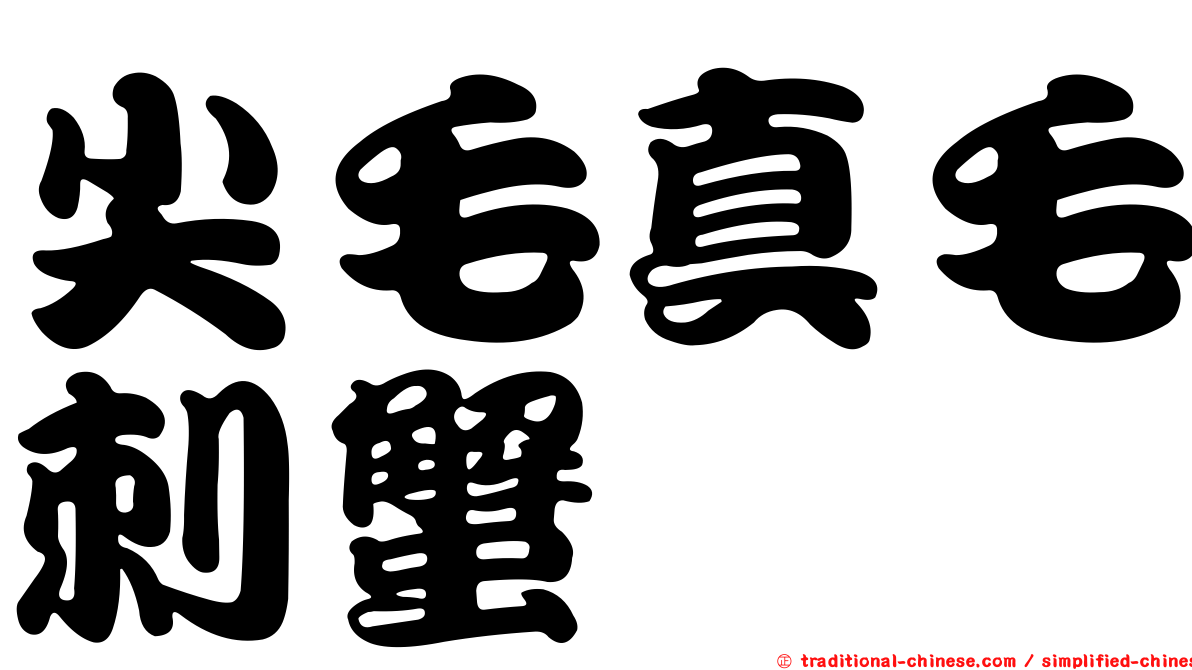 尖毛真毛刺蟹