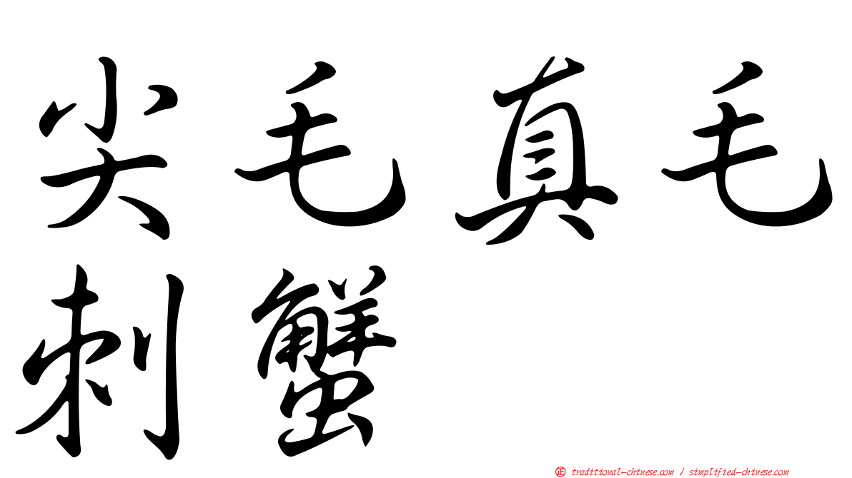 尖毛真毛刺蟹