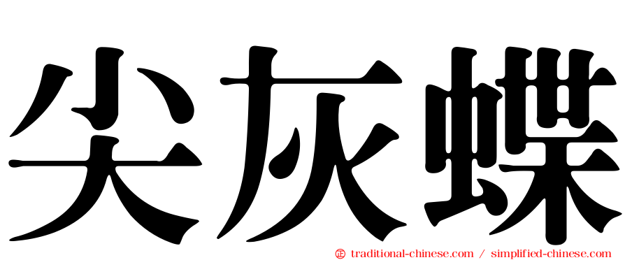 尖灰蝶