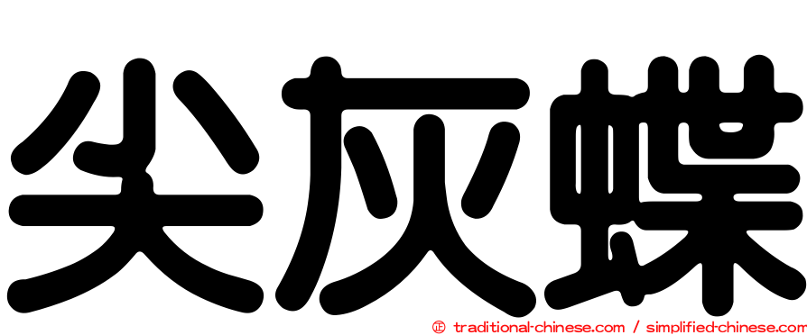 尖灰蝶
