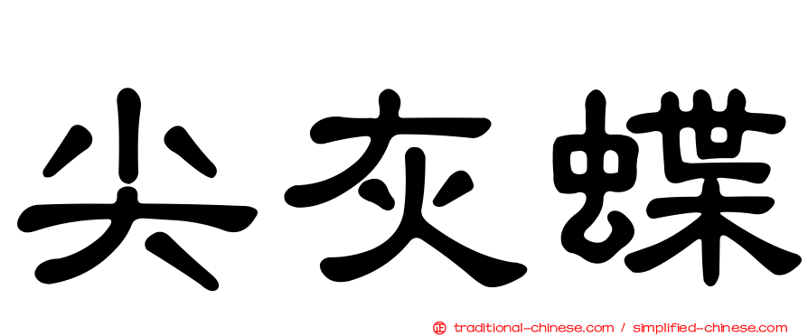 尖灰蝶