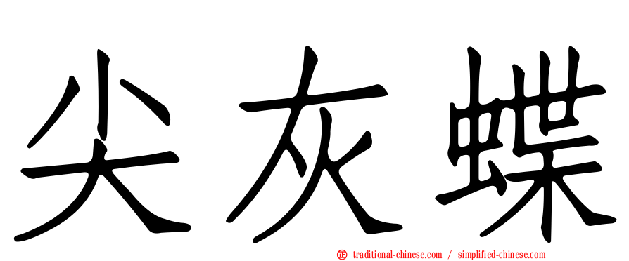尖灰蝶