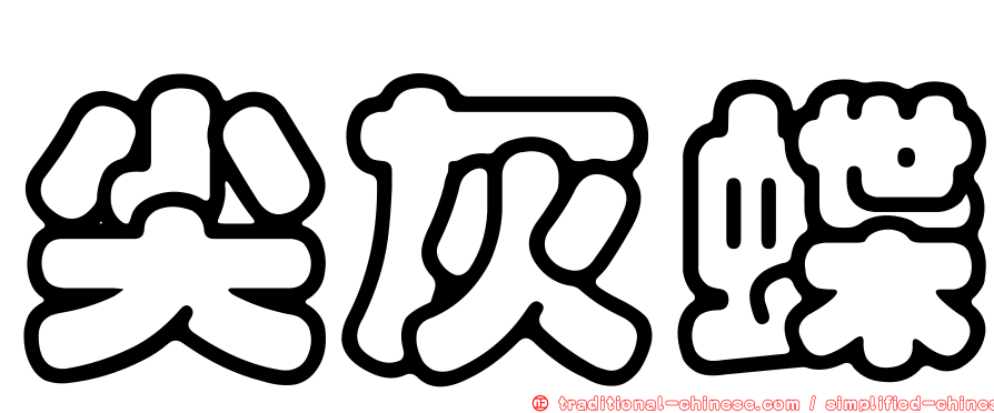 尖灰蝶