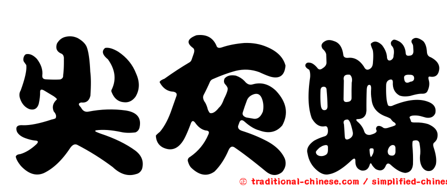 尖灰蝶