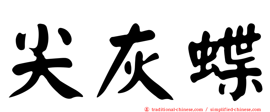 尖灰蝶