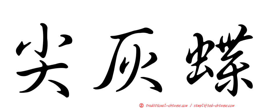 尖灰蝶