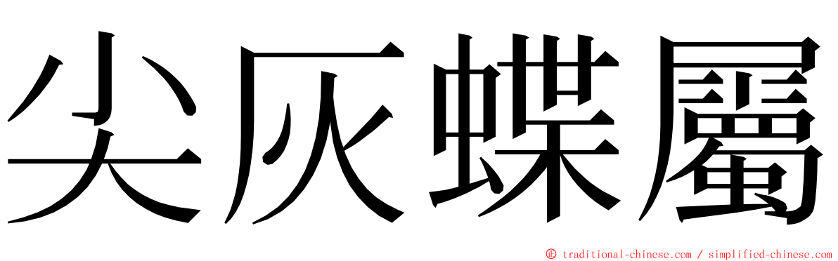 尖灰蝶屬 ming font