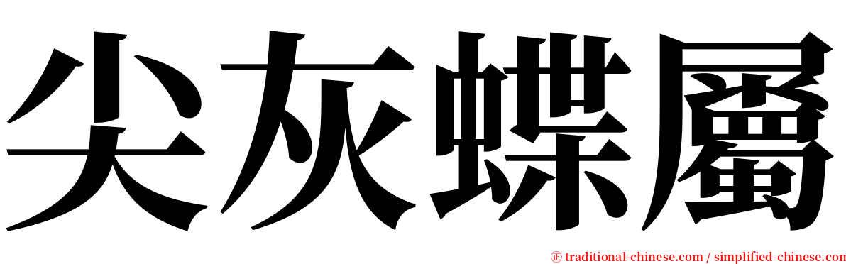 尖灰蝶屬 serif font
