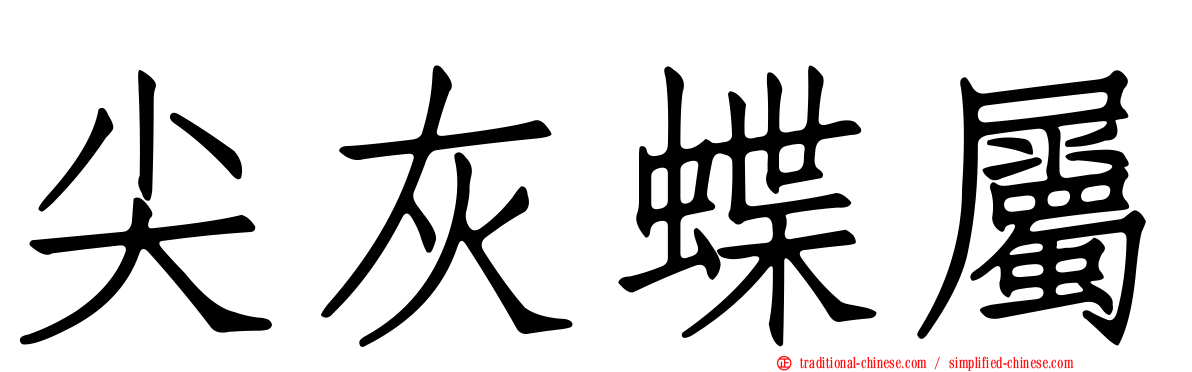 尖灰蝶屬
