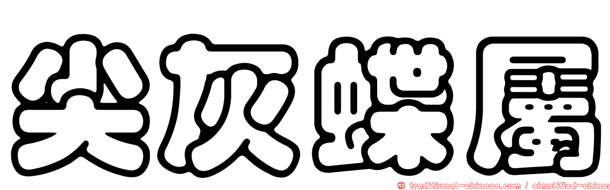 尖灰蝶屬