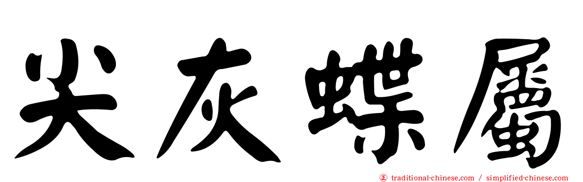 尖灰蝶屬