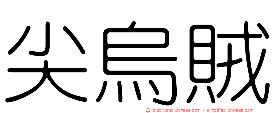 尖烏賊