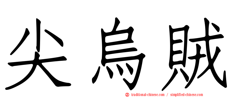 尖烏賊