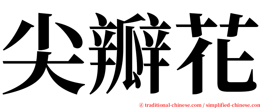 尖瓣花 serif font