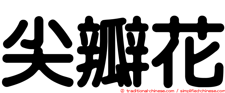 尖瓣花