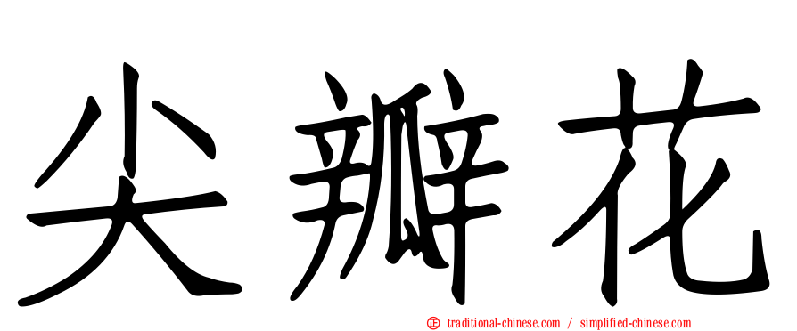 尖瓣花